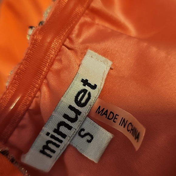 Coral Strapless Maxi Dress - Picture 4 of 6